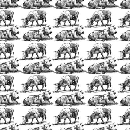 Farm cows seamless pattern hand drawn in a graphic style. Vintage digital engraving illustration for poster, web, packaging, branding, flyer, print. Isolated on white background.の写真素材