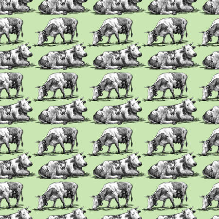 Farm cows seamless pattern hand drawn in a graphic style. Vintage digital engraving illustration for poster, web, packaging, branding, flyer, print. Isolated on green backgroundの写真素材
