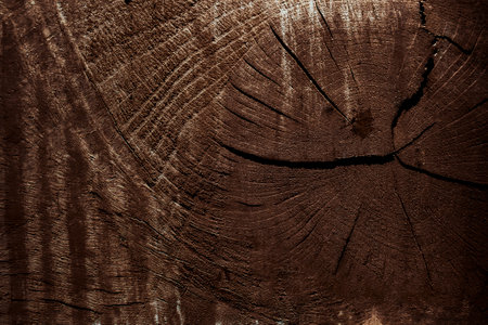 Natural dark wooden background. Old wood texture