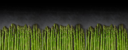 Asparagus on a dark background, copy space.の写真素材