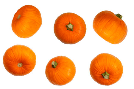 Set of ripe, orange pumpkins isolated on a white background.の写真素材
