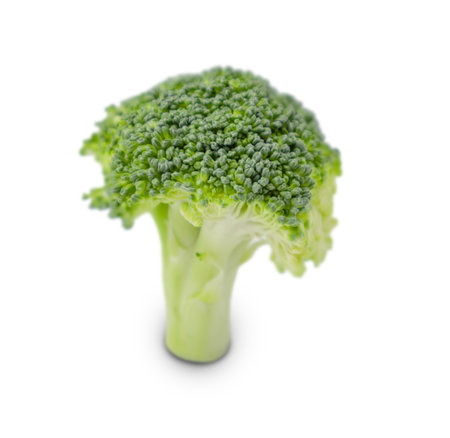 Bright green broccoli resting on plain white surfaceの写真素材