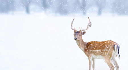A deer with antlers calmly poses amid falling snowflakes in a winter scene.の写真素材