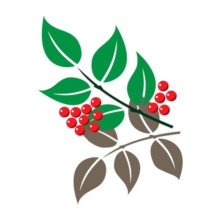 bunch with berriesのイラスト素材