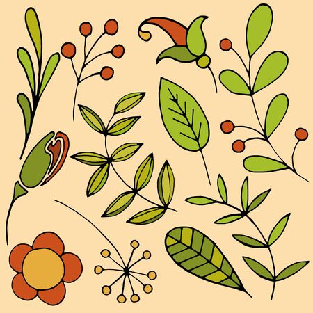 a set of leaves and branches for designのイラスト素材