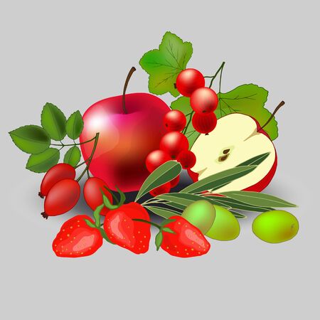 still life of various fruitsのイラスト素材