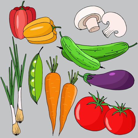 a set of different vegetables in colorのイラスト素材