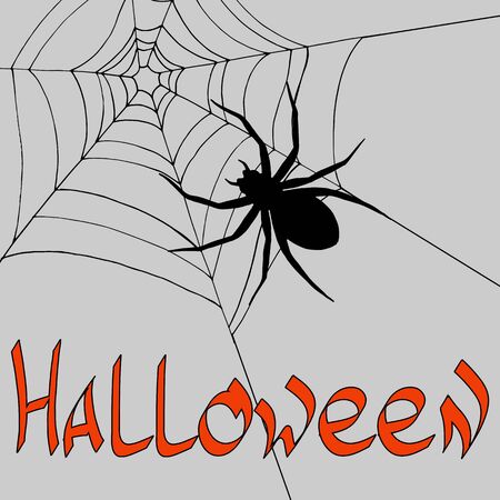 Black spider,  Scary spiderweb of halloween symbol, Isolated on vector illustrationのイラスト素材