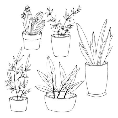 set of elements, indoor plants, cactus in black and white, vector illustration, isolateのイラスト素材