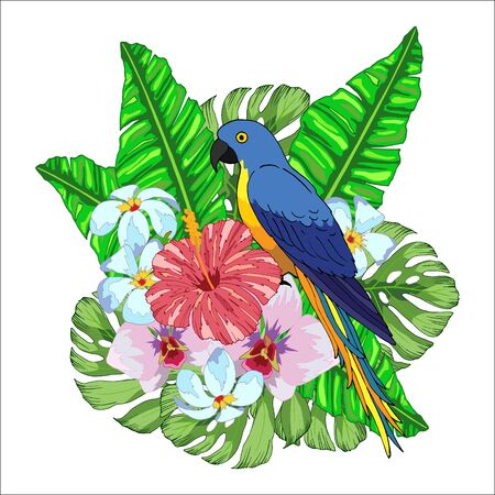 Floral graphic design, tropical flowers and parrot, tropical composition, vector illustration, isolate on a white backgroundのイラスト素材