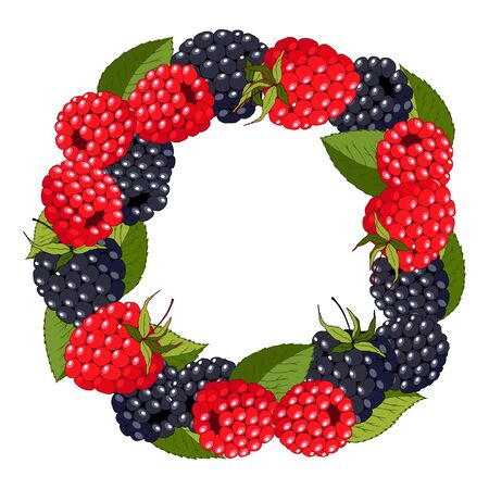 wreath of raspberries and blueberries, a background for the inscription, ripe berries, vector illustration, isolateのイラスト素材