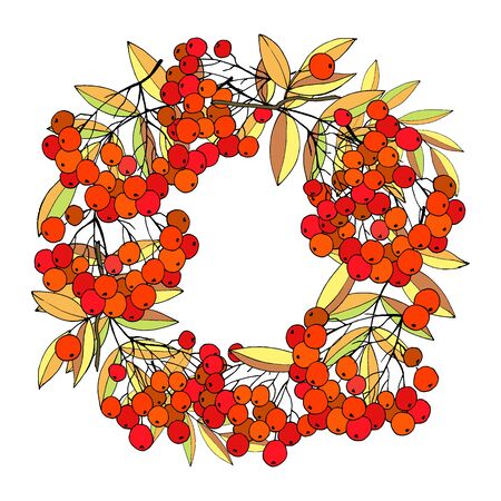 wreath with berries and leaves of rowanberry, background for the inscription, vector illustration, isolateのイラスト素材