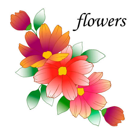 Isolate on a white background, bouquet of flowers, vector illustrationのイラスト素材