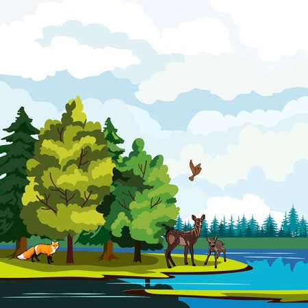 landscape, lake and tree species, wildlife and birds, background for different designsのイラスト素材