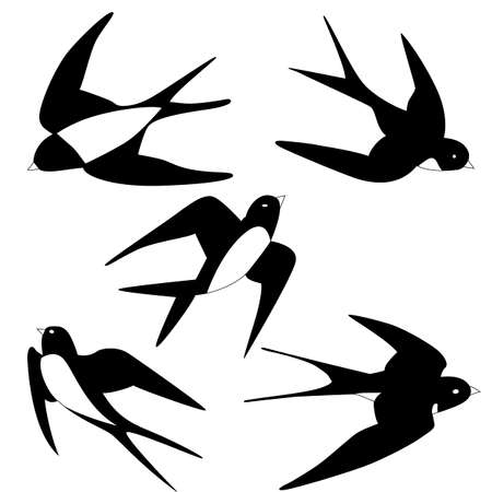 martlet pictures, birds flying, vector illustration, isolate on a white backgroundのイラスト素材