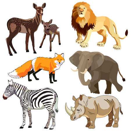 vector illustration, set of drawings, wild animals, isolate on a white backgroundのイラスト素材