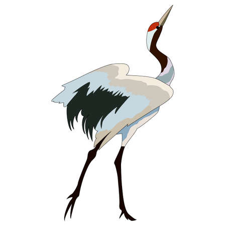 drawing, isolate on a white background, image of storks, vector illustrationのイラスト素材
