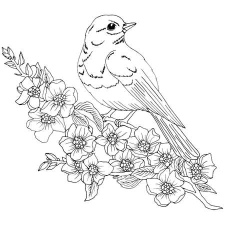 picture in black and white, a bird in the flowering trees, vector illustration, isolate on a white backgroundのイラスト素材