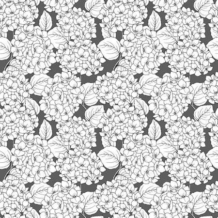 seamless pattern, drawing of hydrangea flowers, linear imageの写真素材