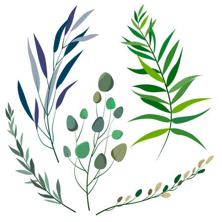 vector illustration, Isolate on a white background, branches with leaves, plantsのイラスト素材