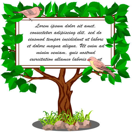 banner for text in the form of a tree with leaves, birds, isolate on a white backgroundのイラスト素材