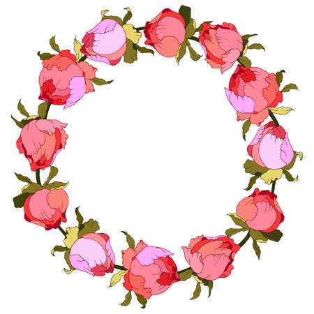 ornament wreath with buds of roses or peonies in bright colors, vector illustrationのイラスト素材