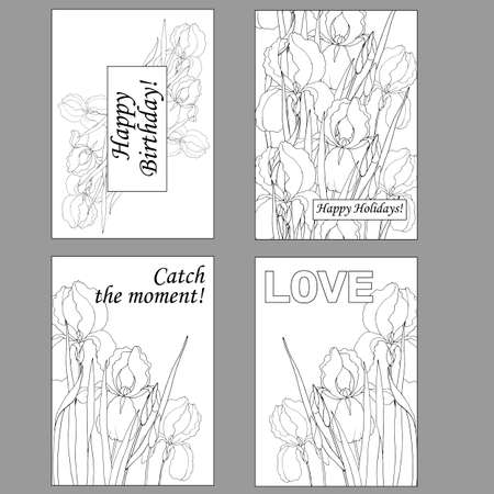 greeting cards, coloring pages, greetings cards with iris flowersのイラスト素材
