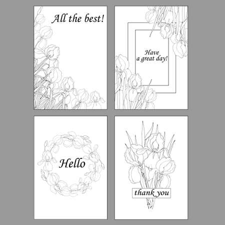 greeting cards, coloring pages, greetings cards with iris flowersのイラスト素材
