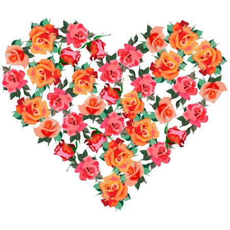 vector illustrations, roses in bright colors, isolate on a white background, design for postcards, wedding invitations, greetingsのイラスト素材