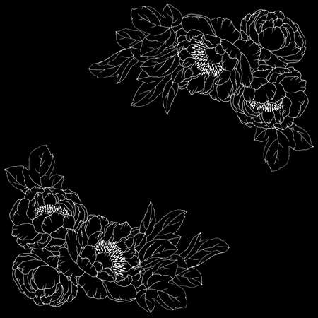 vector illustration, linear drawing, flowers with leaves, background for designのイラスト素材