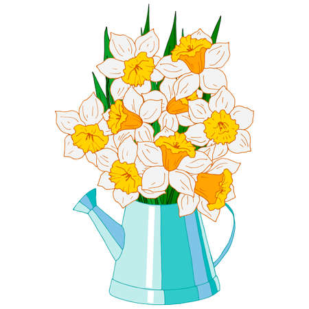 vector illustrations, narcissus flowers in teapot, for design of leaflets and greetings, isolate on a white backgroundのイラスト素材