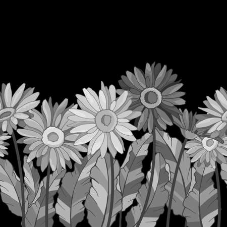 seamless background, border with chamomile flowers, gerberas, vector illustrations in monochrome grayのイラスト素材