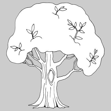 vector illustration, linear drawing of a tree in black and white, isolate, elements for designのイラスト素材