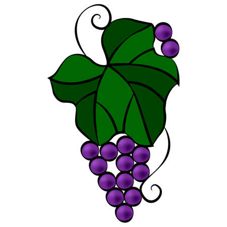 Grape leaf and berries in doodle style, simple vector illustration, design ornament, linear pattern in bright colors, isolate on a white backgroundのイラスト素材