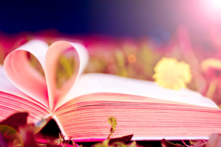 Heart from book. Love or reading conceptの写真素材
