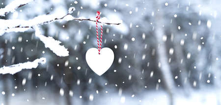 White heart on tree branch in snowy winter. Love concept. Valentine's Day. Greeting cardの写真素材