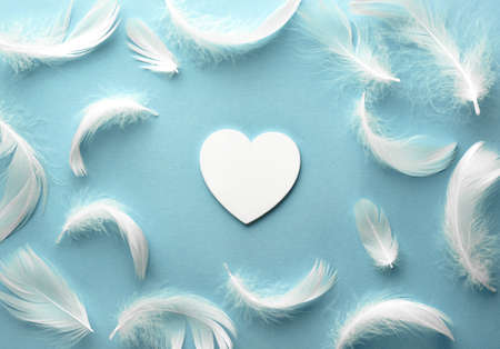 Delicate pastel background. White heart and feathers on blue paper. Template for congratulations. Valentine card, fathers day, happy birthday, anniversaryの写真素材