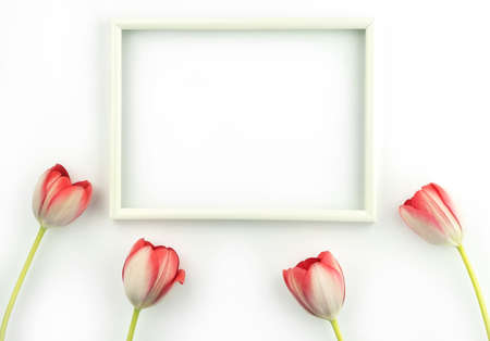 Frame made of white puzzles on light green paper. Business background. Copy space for your text or noteの写真素材
