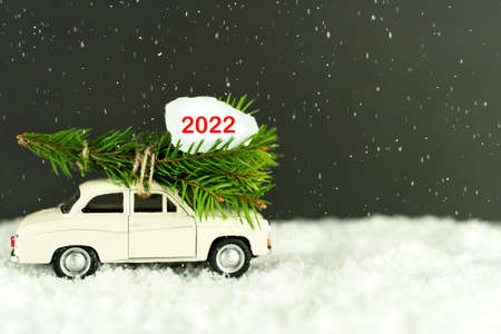 Christmas New Year frame. Spruce branches and pine cone on white isolated background. View from above. Place for your greeting text. Flat layの写真素材