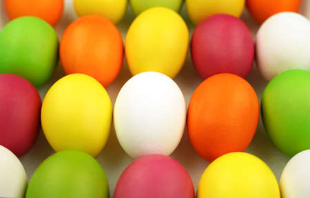 Funny bunny among colorful eggs. holiday card. easter backgroundの写真素材