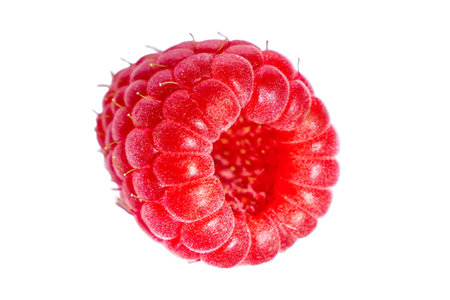 Raspberry isolated on white background. Bright red berry detailed close up. Macro