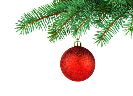 Green spruce tree and red shiny toy. Isolated branch and holiday decor on white background. Merry Christmas. happy new yearの写真素材