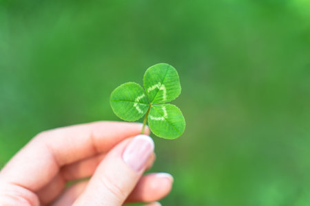 Clover in hand on bright green background of nature. Shamrock symbol of Ireland Patrick's Day