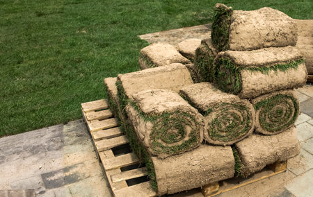 Grass rolls prepared for laying on the lawn in the parkの写真素材