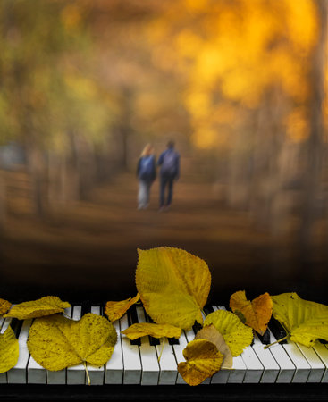 Autumn composition of piano keys covered with yellow leaves on a blurred image of a parkの写真素材