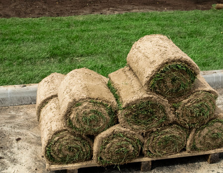 Grass rolls prepared for laying on the lawnの写真素材