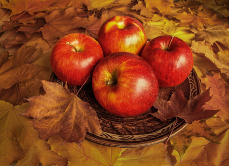 Plate with apples on a background of fallen leavesの写真素材