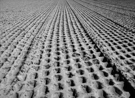 Sand surface with dents from heavy road vehiclesの写真素材