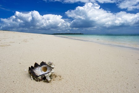 Seashell on sand beach with cloudy blue skyの写真素材