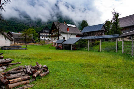 Little houses in the natureの写真素材